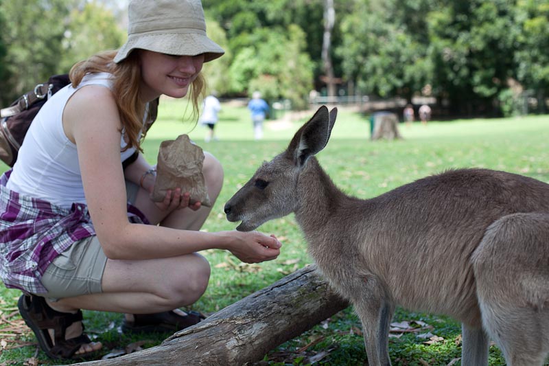 Christina fodrer kænguru
